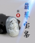翡翠宝鉴TXT下载