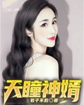 神瞳赘婿 小说