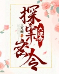 大理寺探案密令百度云