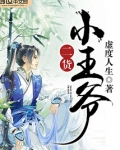 二货小王爷百度百科