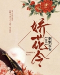 娇花令好看吗