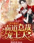 小说叫空降萌宝,总裁爹地超给力