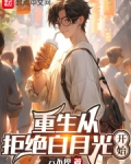 重生从拒绝白月光开始