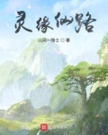 灵缘仙路 小说