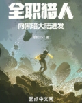 全职猎人：向黑暗大陆进发