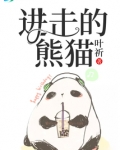 进击的熊猫txt