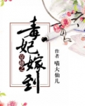 穿越之毒妃嫁到电视剧免费观看