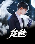 龙爸爸和蛇宝宝合不合