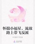 怀揣小福星,流放路上带飞反派 只打雷不下雪 著