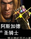 阿斯加德的圣骑士起点