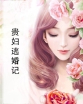 贵妇难为筑梦者免费阅读