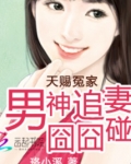 天赐冤家：男神追妻囧囧碰