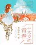 十六岁的青春演员表