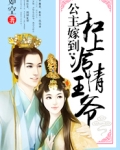 公主嫁到王爷喜当爹