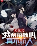 犬夜叉我奈落核心真不坑人
