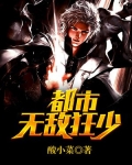 都市无敌狂少小说