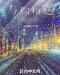 与你相遇的瞬间小说
