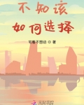 不知该如何选择歌词