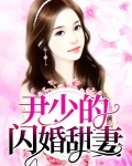 二爷的闪婚甜妻