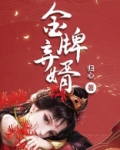 金牌弃婿 小说