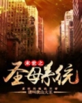 末世之圣母系统