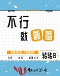 不行就离婚小说讲的什么