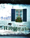 我的秘密花园书籍