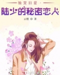 独宠旧爱·陆少的秘密恋人