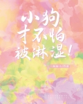 小狗才不怕被淋湿枝柿子