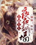 小说首辅大人