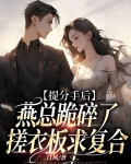 提分手后燕总跪碎了搓衣板求复合