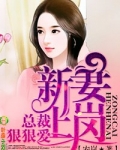总裁狠狠爱(全本)