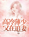 高冷薄少又在追妻