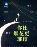 你比烟花更璀璨免费阅读