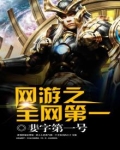 网游之全球在线顶点小说