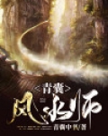 青囊风水师小说免费阅读