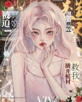 电视剧中的女刑警队长