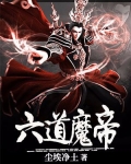 六道魔帝 小说