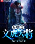 海贼之文虎大将