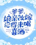 爹爹要我出嫁bgm