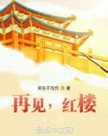 再见，红楼