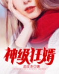 神级狂婿岳风全集小说