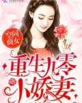 重生之商女崛起