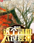 四合院:这个司机太过嚣张 小说