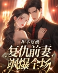 拒绝与前夫复婚后我重生了