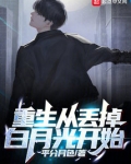 重生从丢掉白月光开始 小说 免费