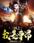 三国之我是曹昂