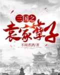 三国之袁家孽子