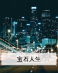 宝石人是什么意思