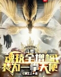 斗罗:魂技全增幅,我为一拳天使 小说